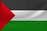 Palestine Flag